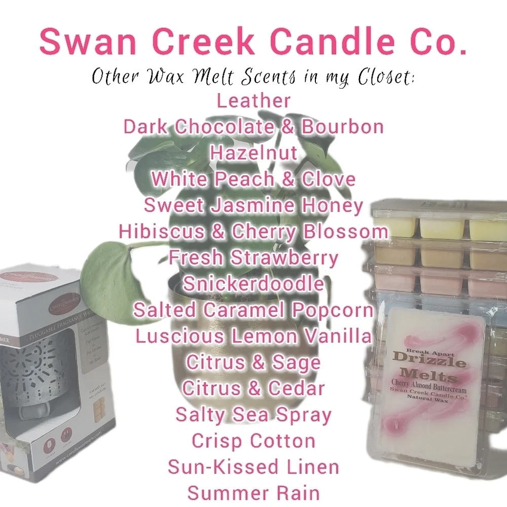 DARK CHOCOLATE & BOURBON by SWAN CREEK CANDLE Drizzle Melts Natural Wax 5.25 oz